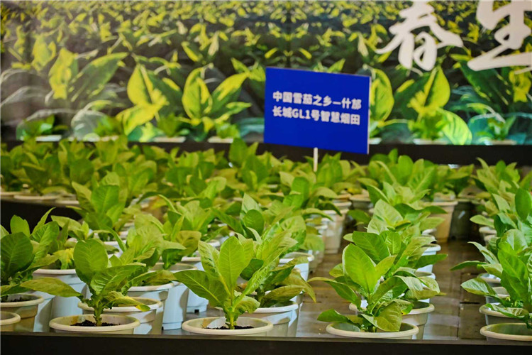 微信圖片_20250528083003.jpg